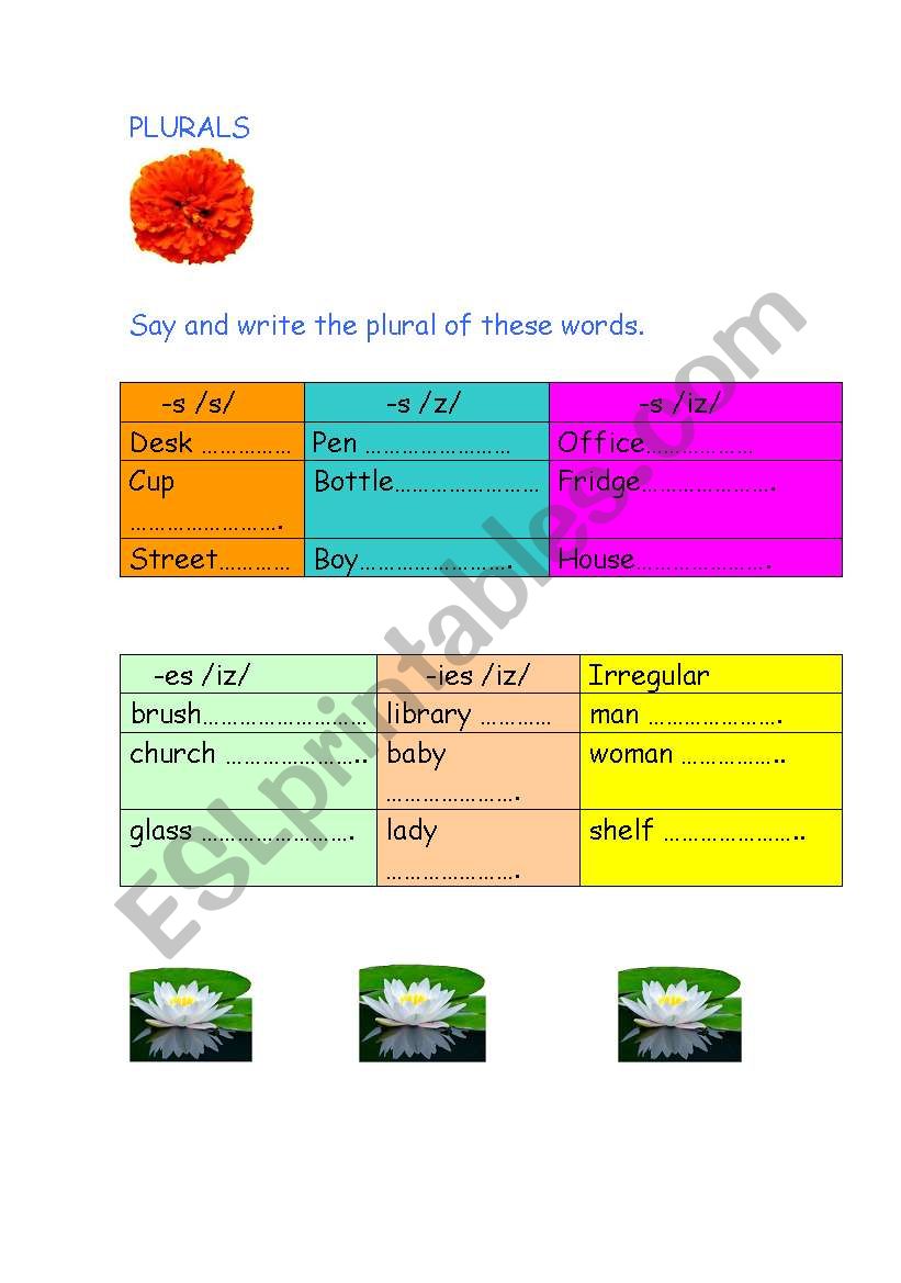 plurals worksheet