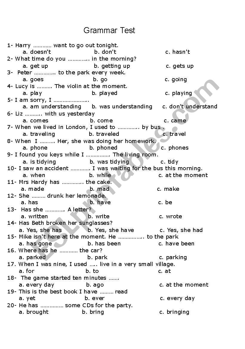 Grammar Test worksheet