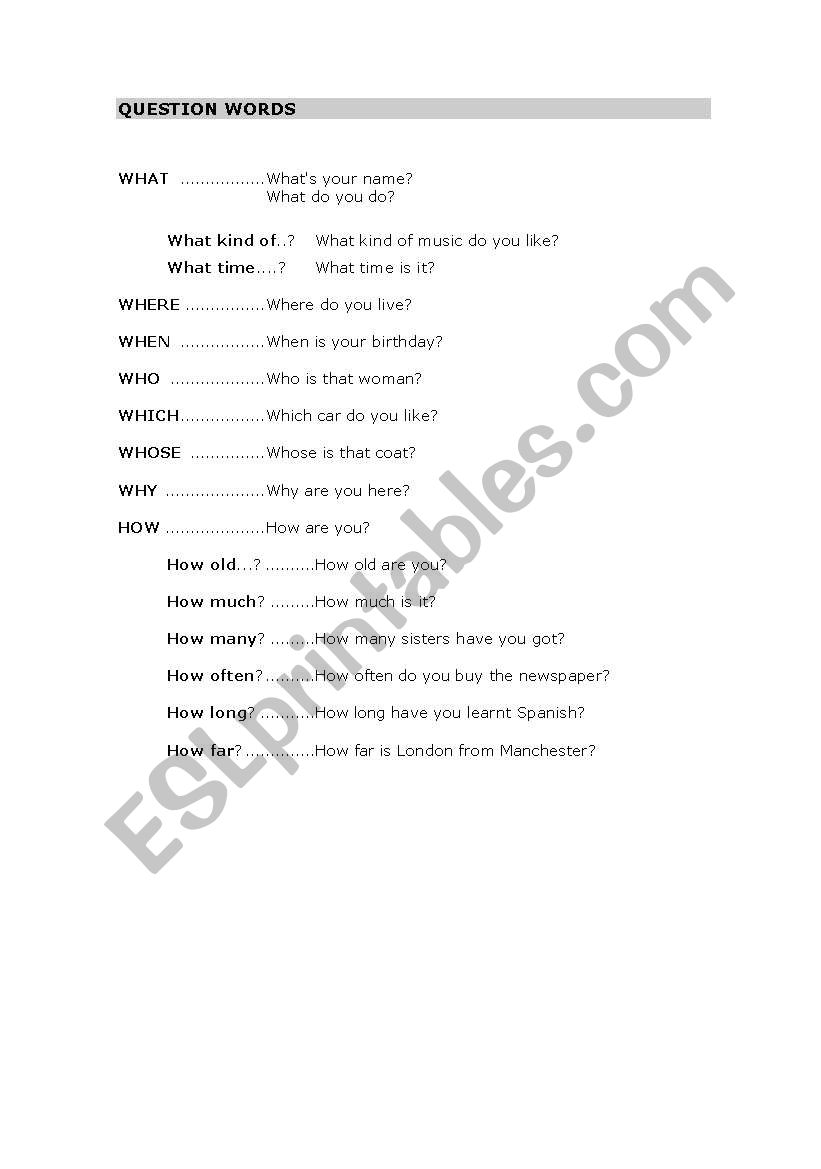 Question Words worksheet