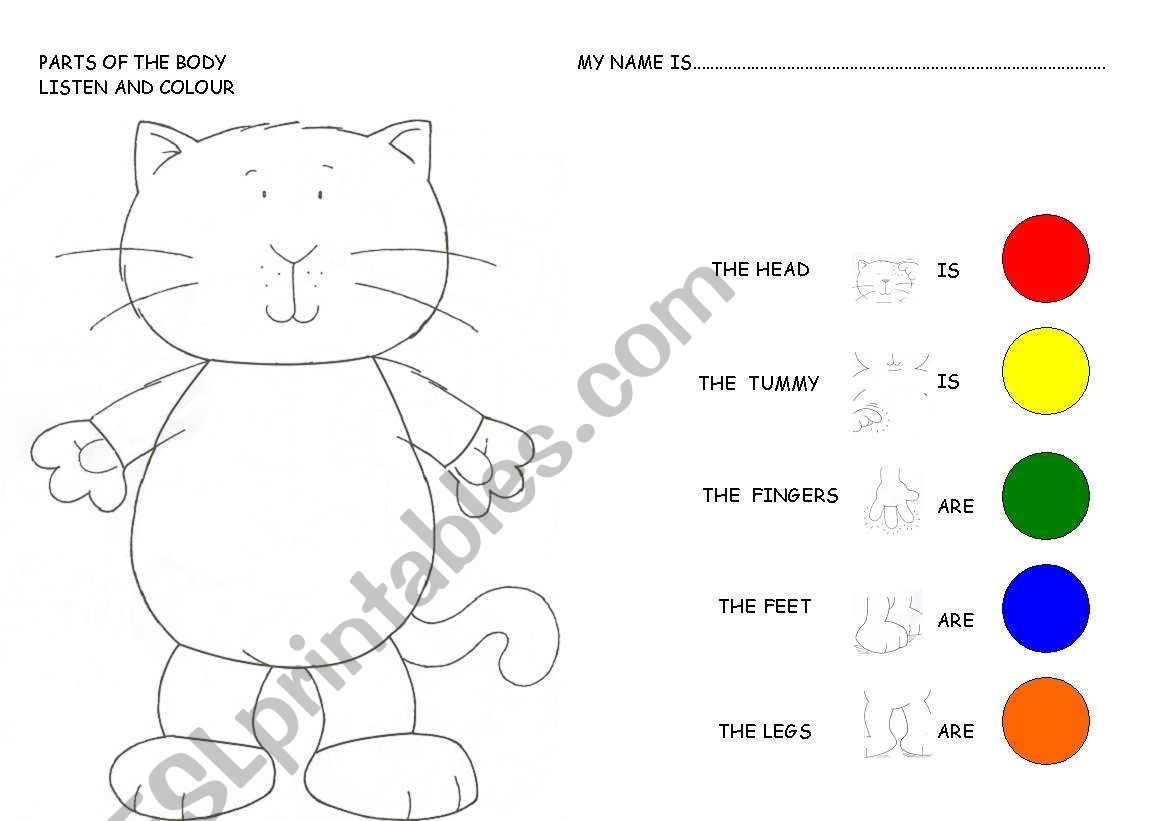 Parts of the Body - ESL worksheet by agussev