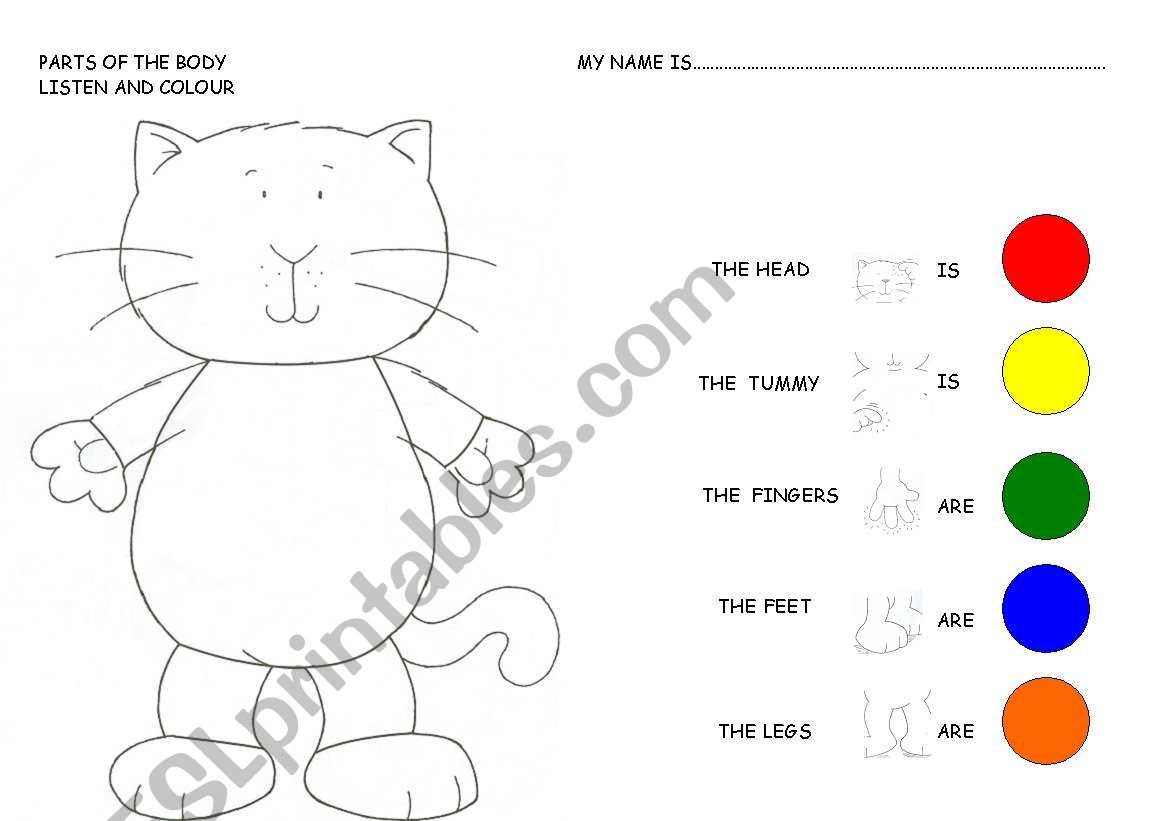 Parts of the Body worksheet