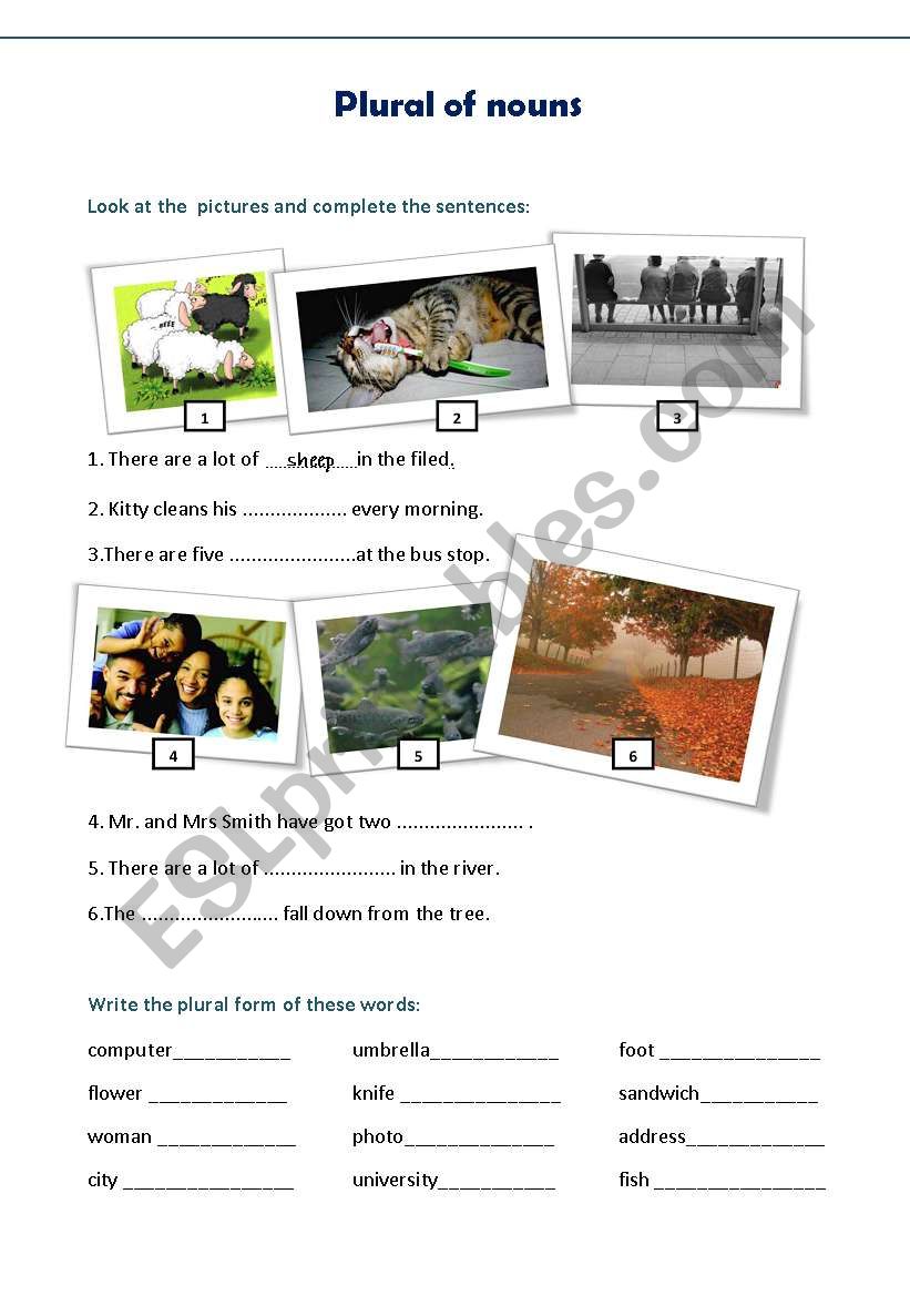 plural of nouns worksheet