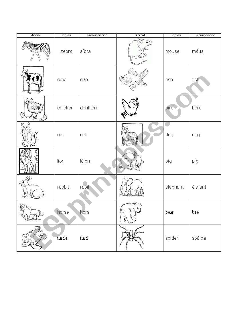 animal worksheet