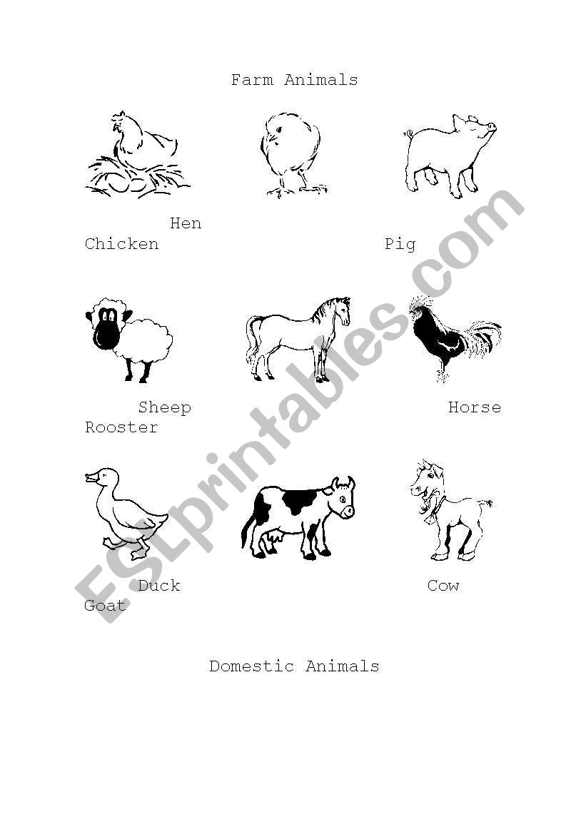 Farm Animals worksheet