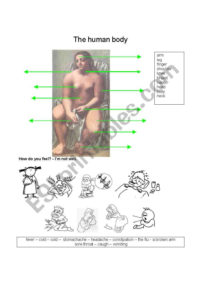 The human body worksheet