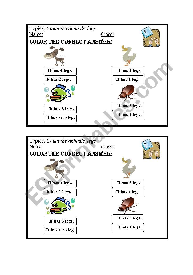 animals worksheet