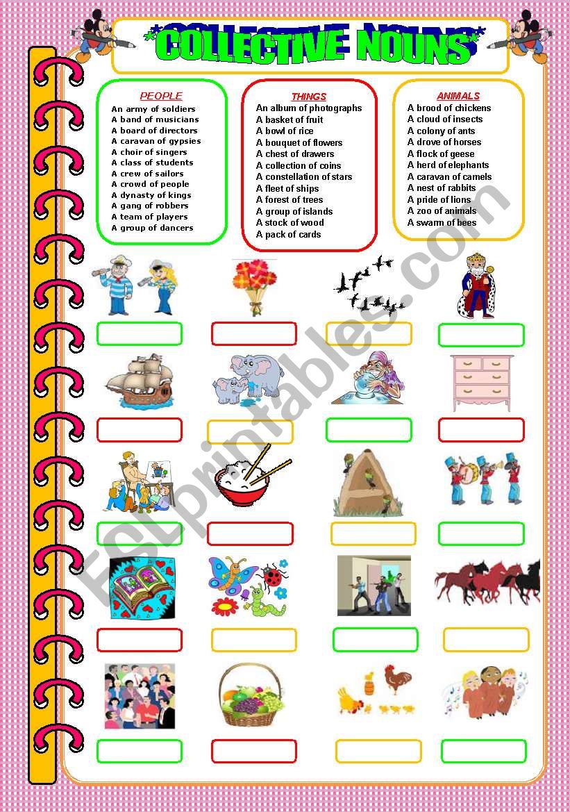 Collective Nouns! worksheet