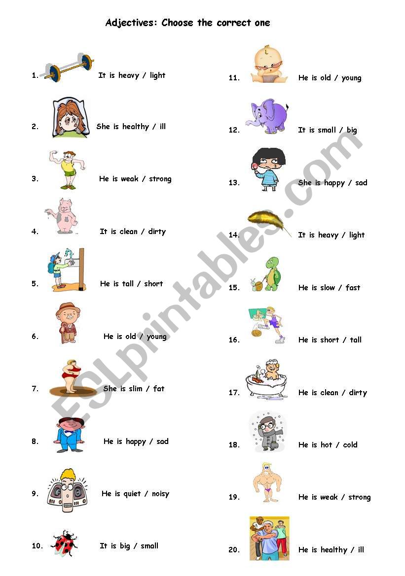 Choose The Correct Adjective Worksheet
