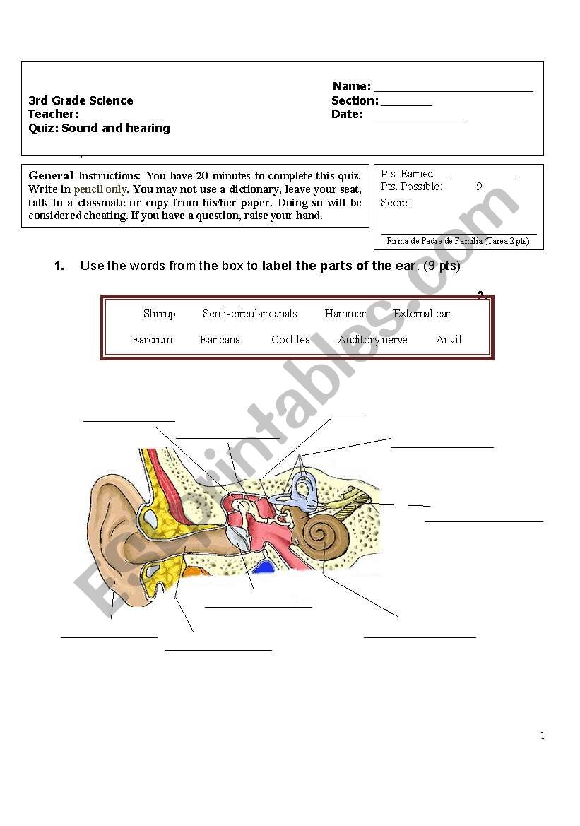 Sound and hearing quiz worksheet