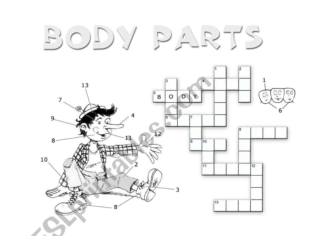 Body parts crossword worksheet