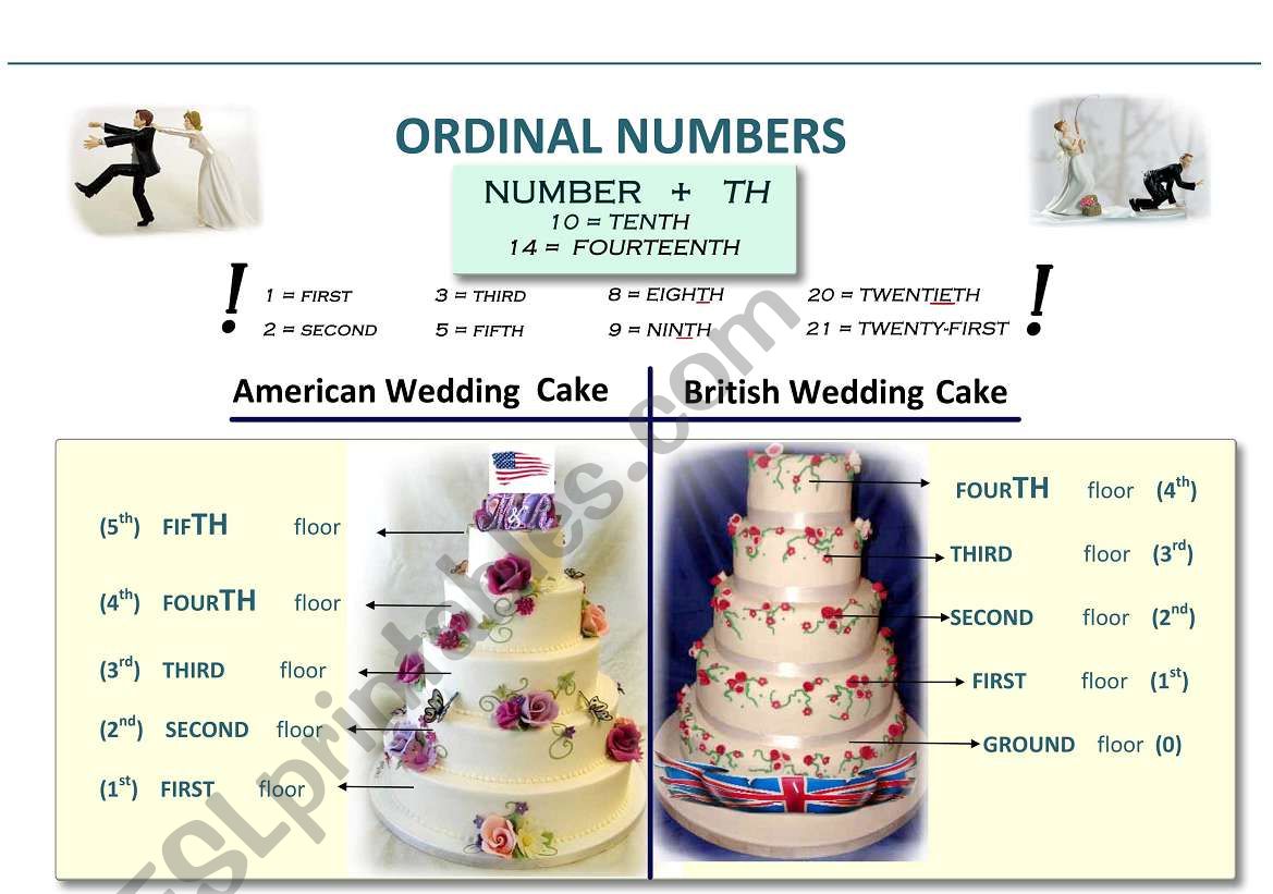 oRDINAL NUMBERS worksheet