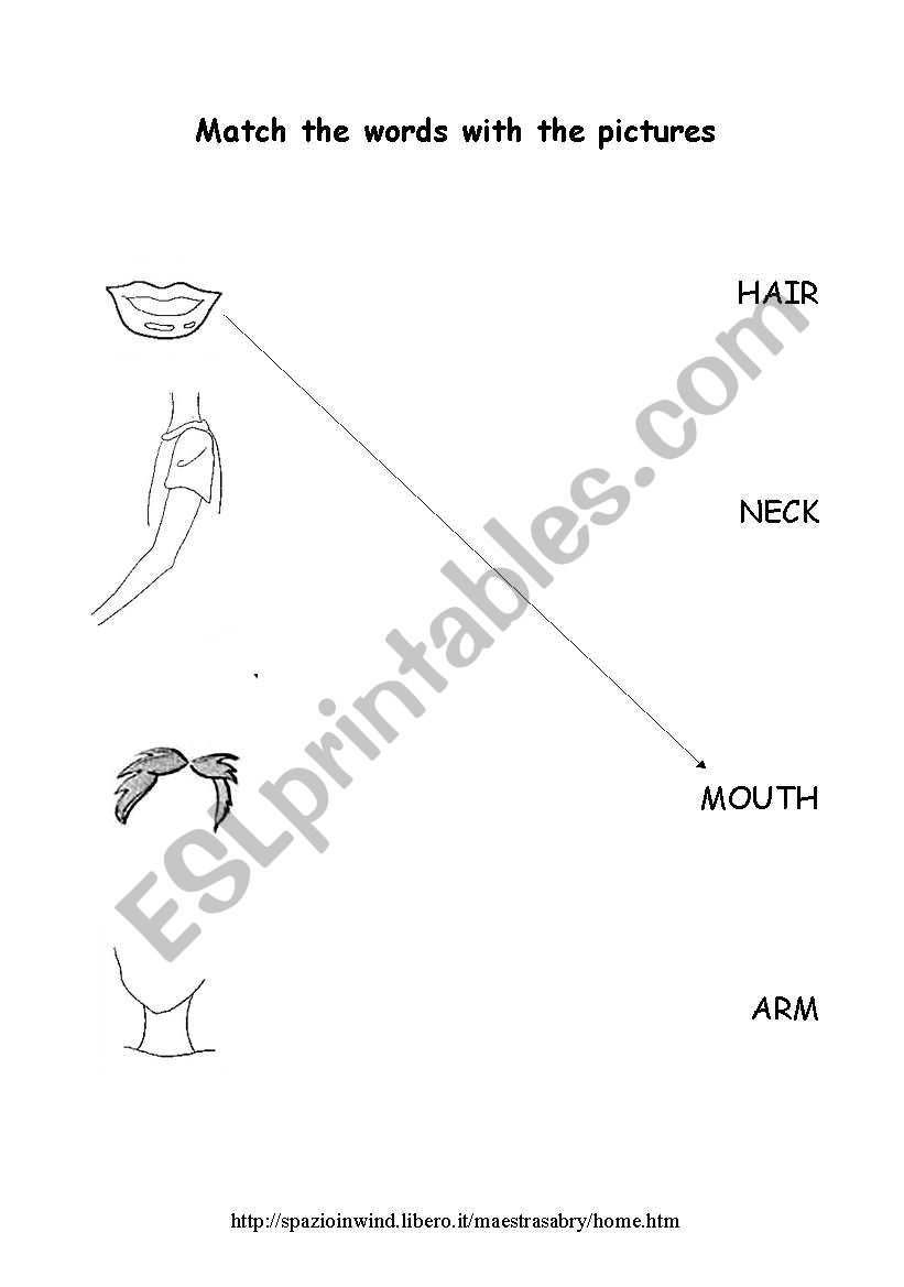 the body worksheet