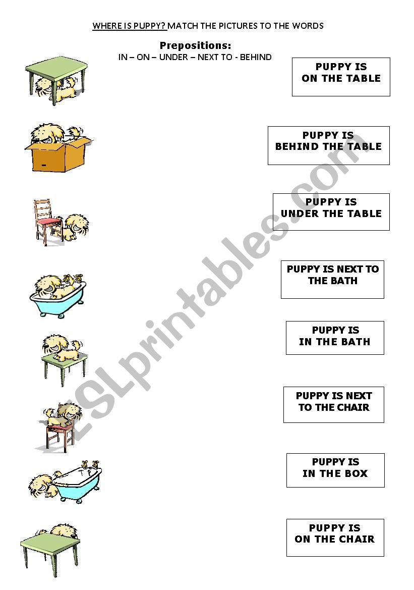 WHERE IS PUPPY? 1 worksheet