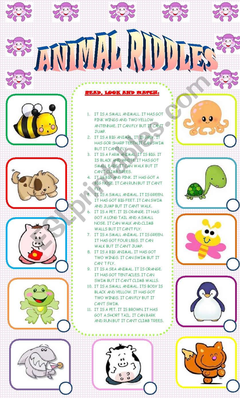 ANIMAL RIDDLES: matching activity