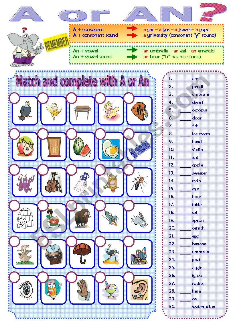 INDEFINITE ARTICLES - A or AN worksheet