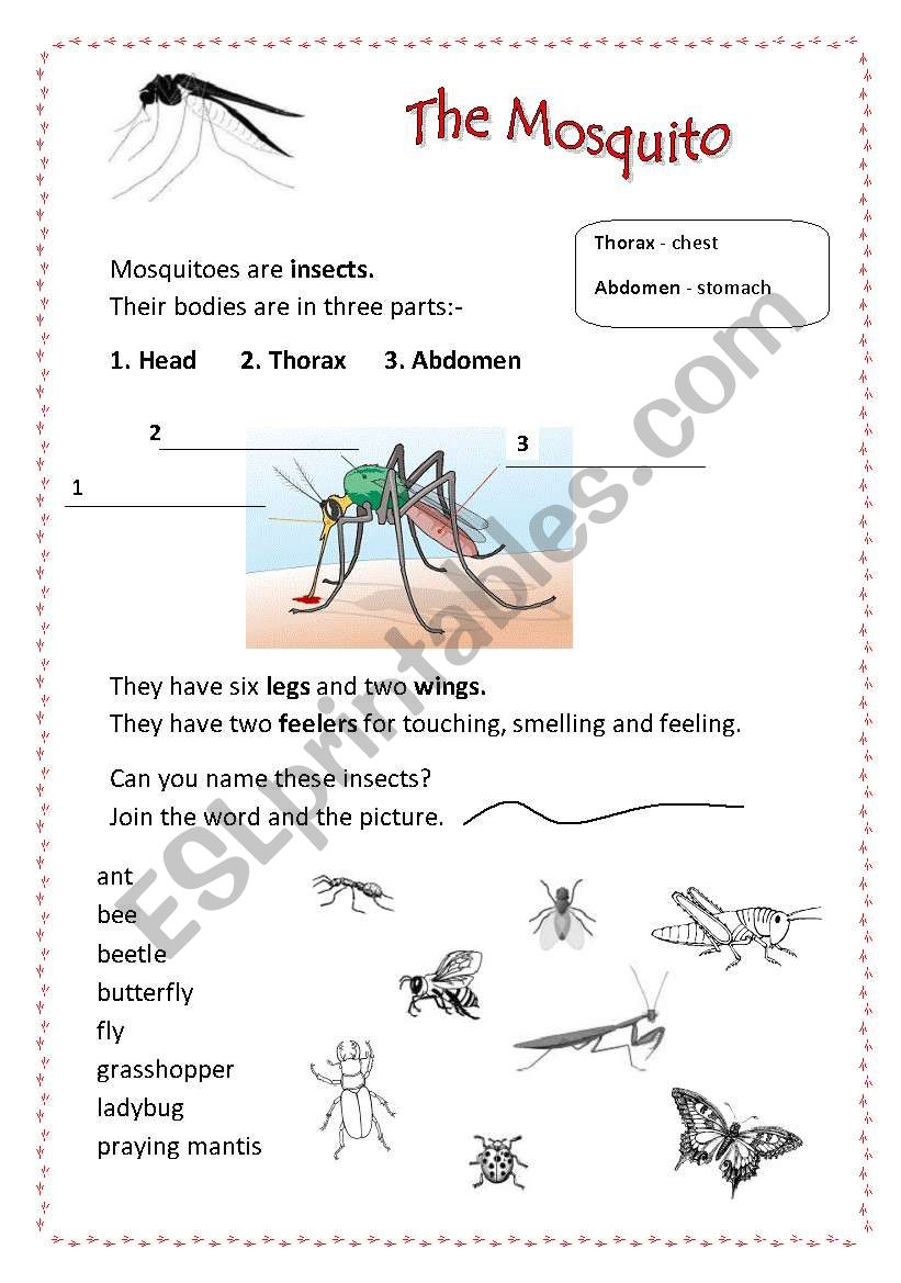 The Mosquito worksheet