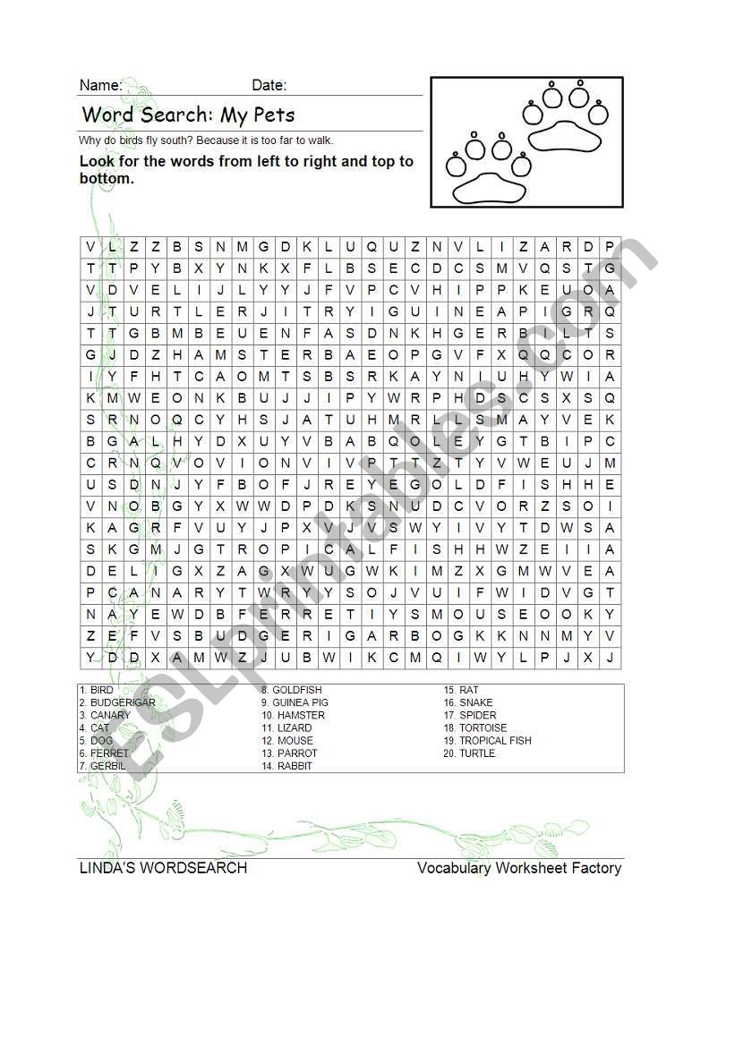 WORDSEARCH: MY PETS worksheet