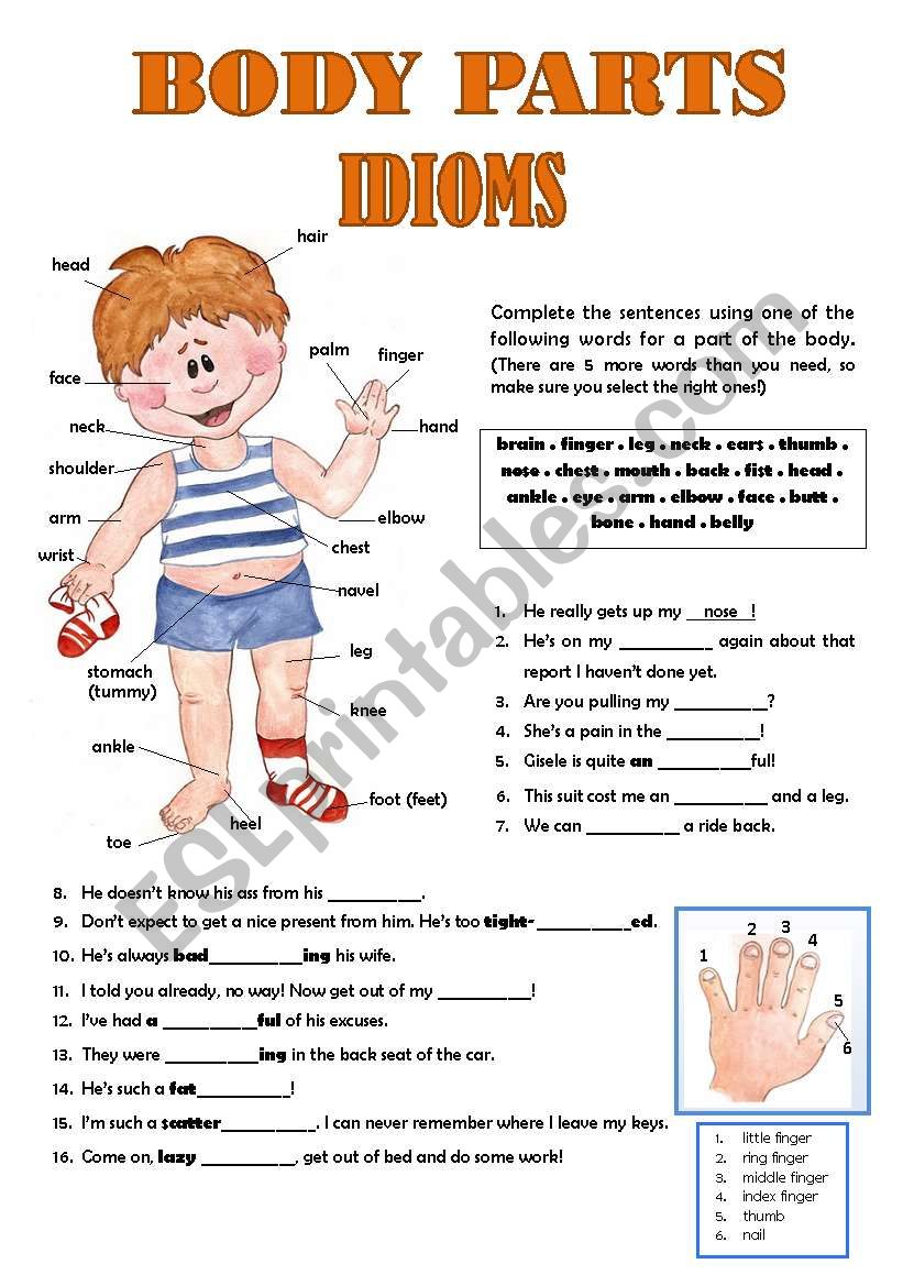 Body Parts Idioms worksheet