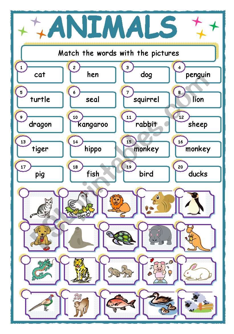 ANIMALS/MATCHING worksheet