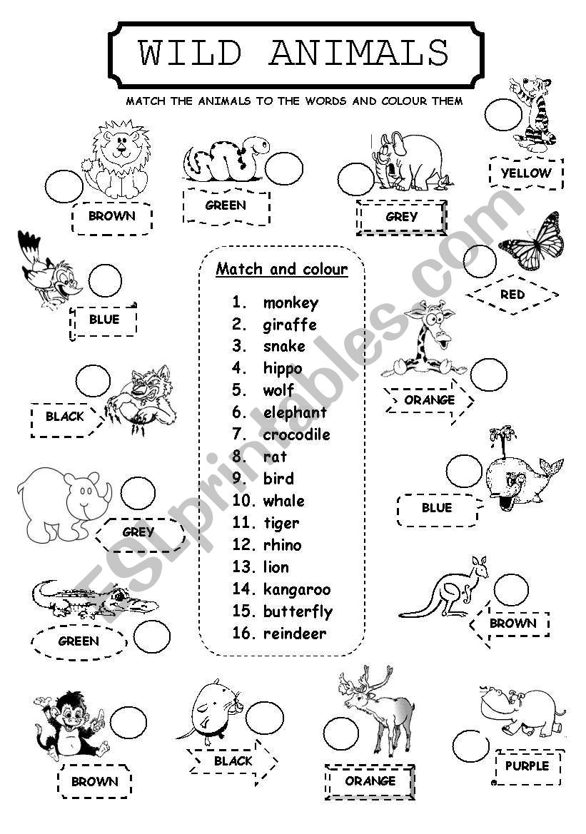 WILD ANIMALS worksheet