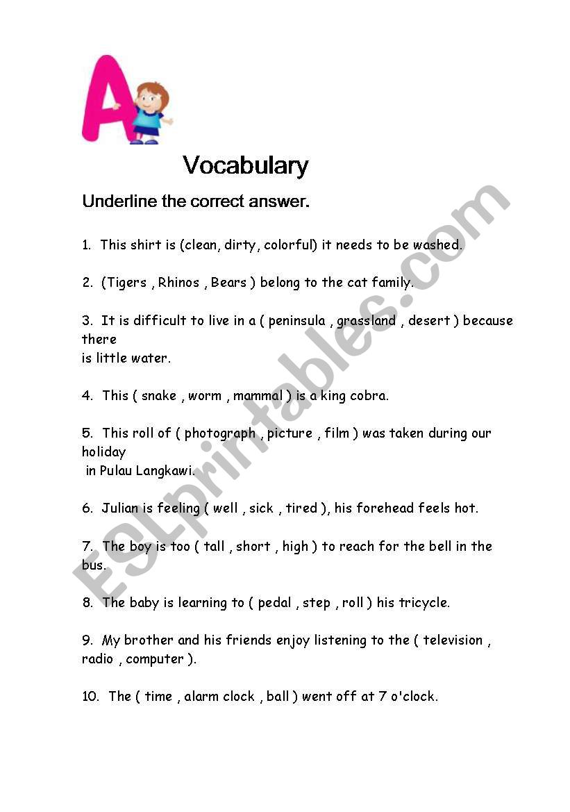 vocabulary worksheet