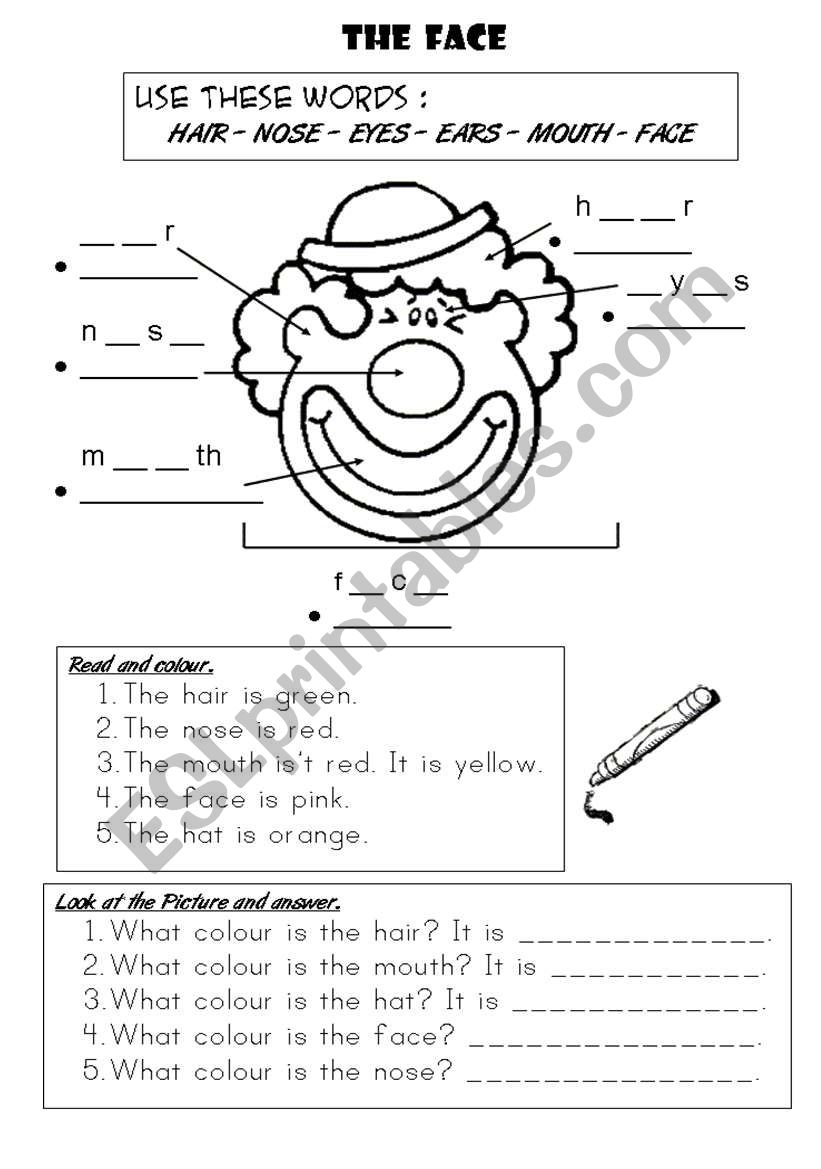 THE FACE : Complete, colour & answer.