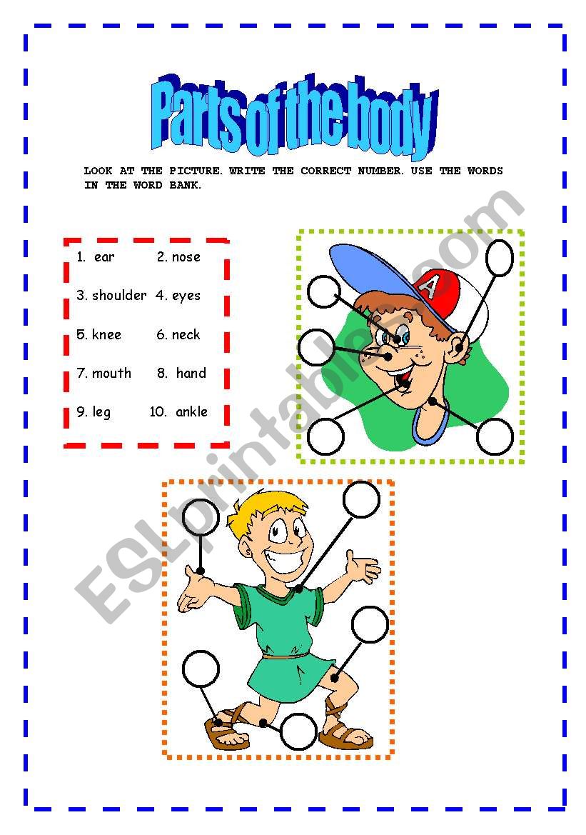 Parts of the body worksheet