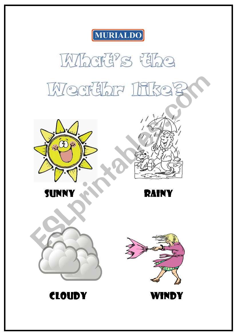 Whats the Weather Like? worksheet