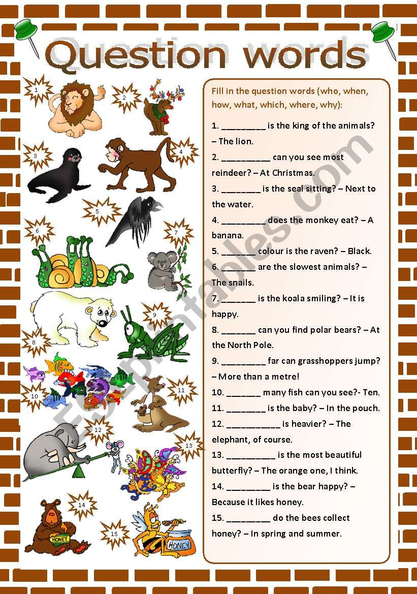 Question words worksheet