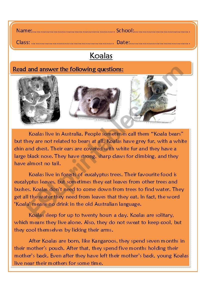 Koalas worksheet