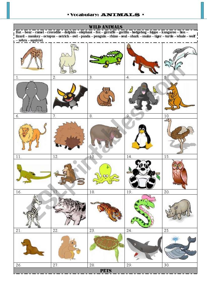 Vocabulary: animals worksheet