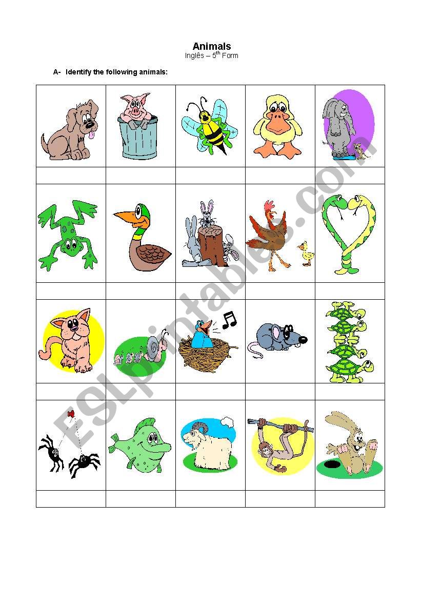 Animals worksheet