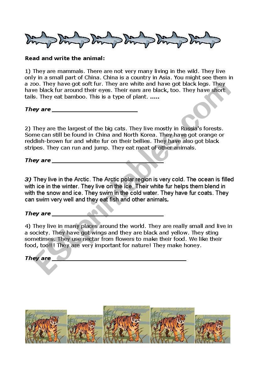 Animal Riddles worksheet