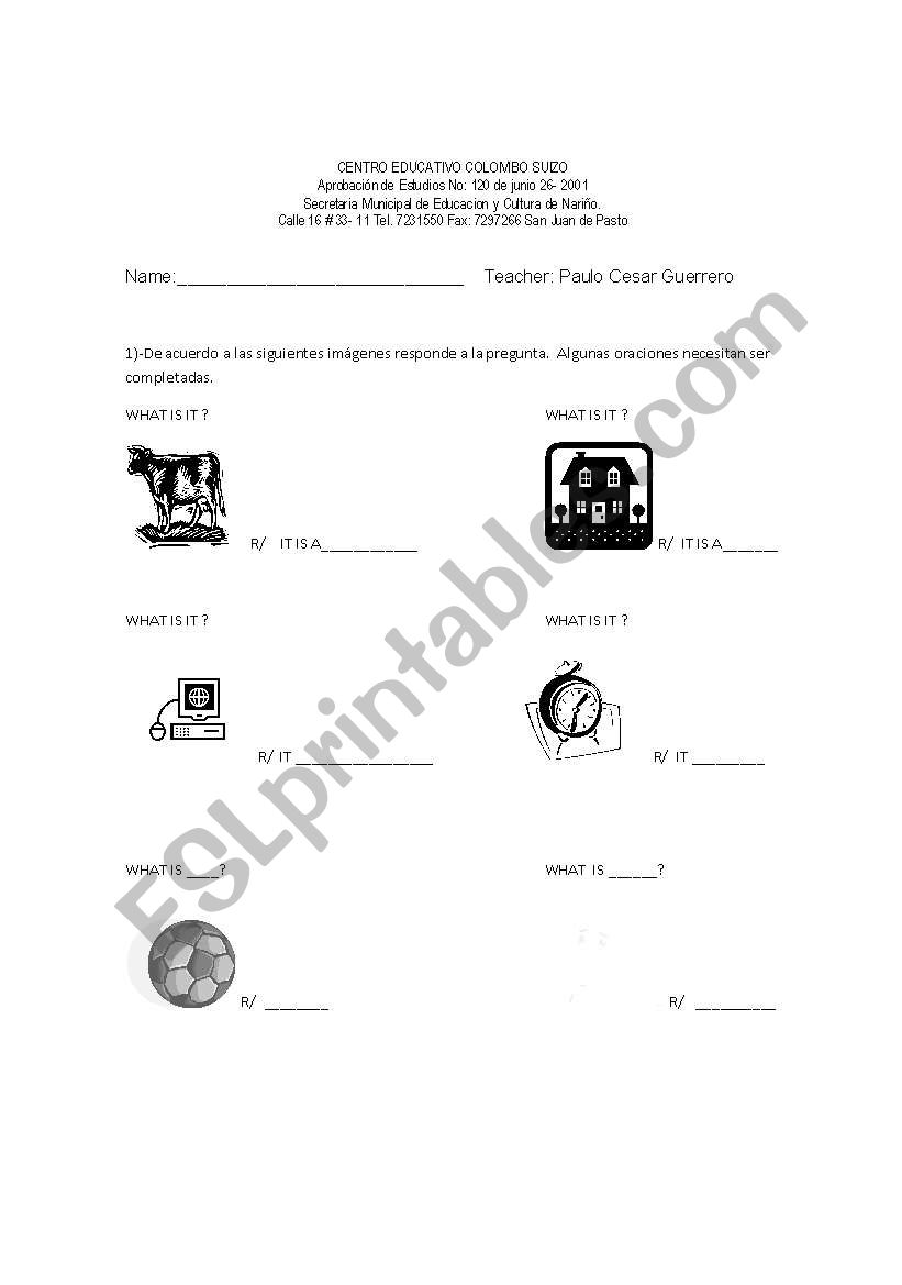 what is it? worksheet