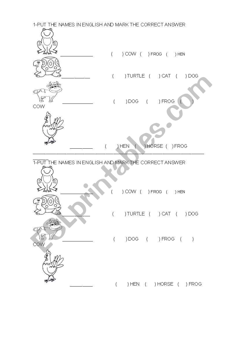 ANIMALS worksheet