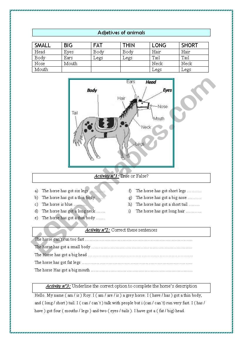 Adjectives of animals worksheet