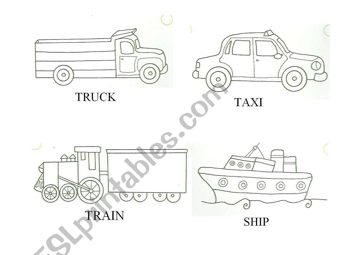 Transport 2 worksheet