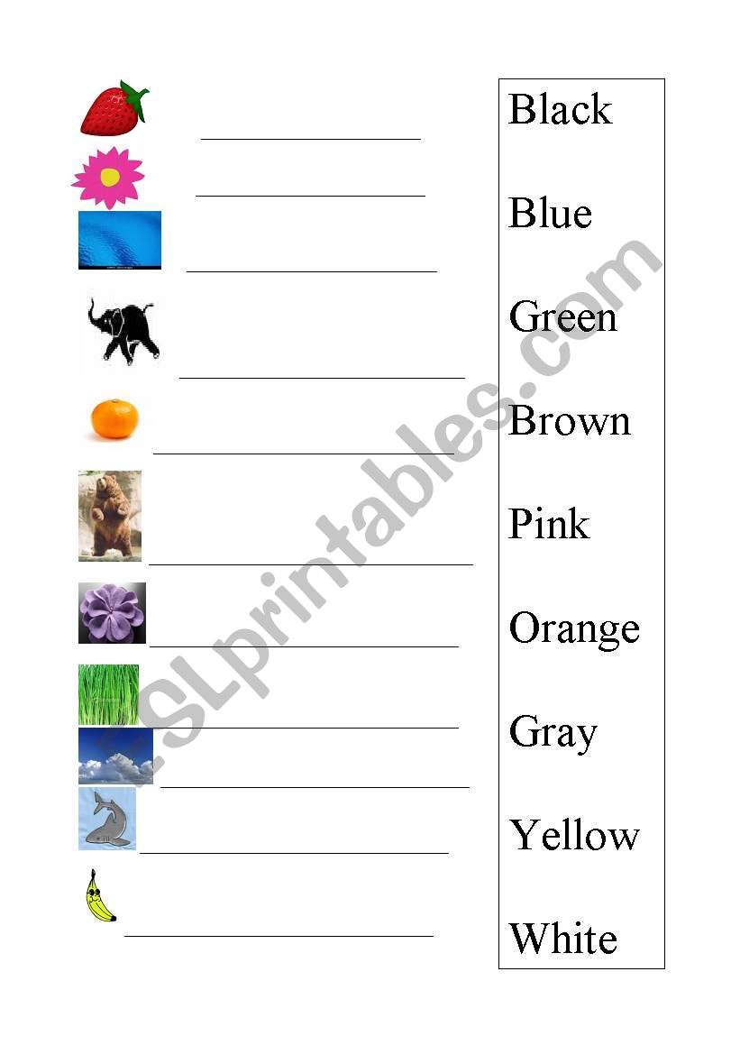 Matching Colors worksheet
