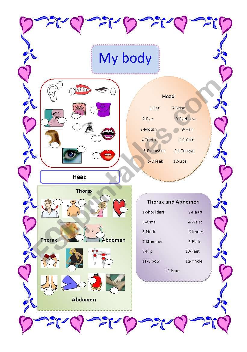 My Body  and Key worksheet