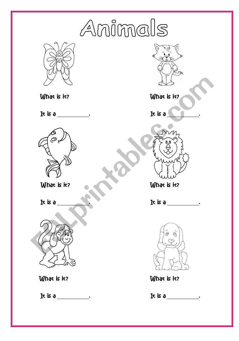 aNIMALS worksheet