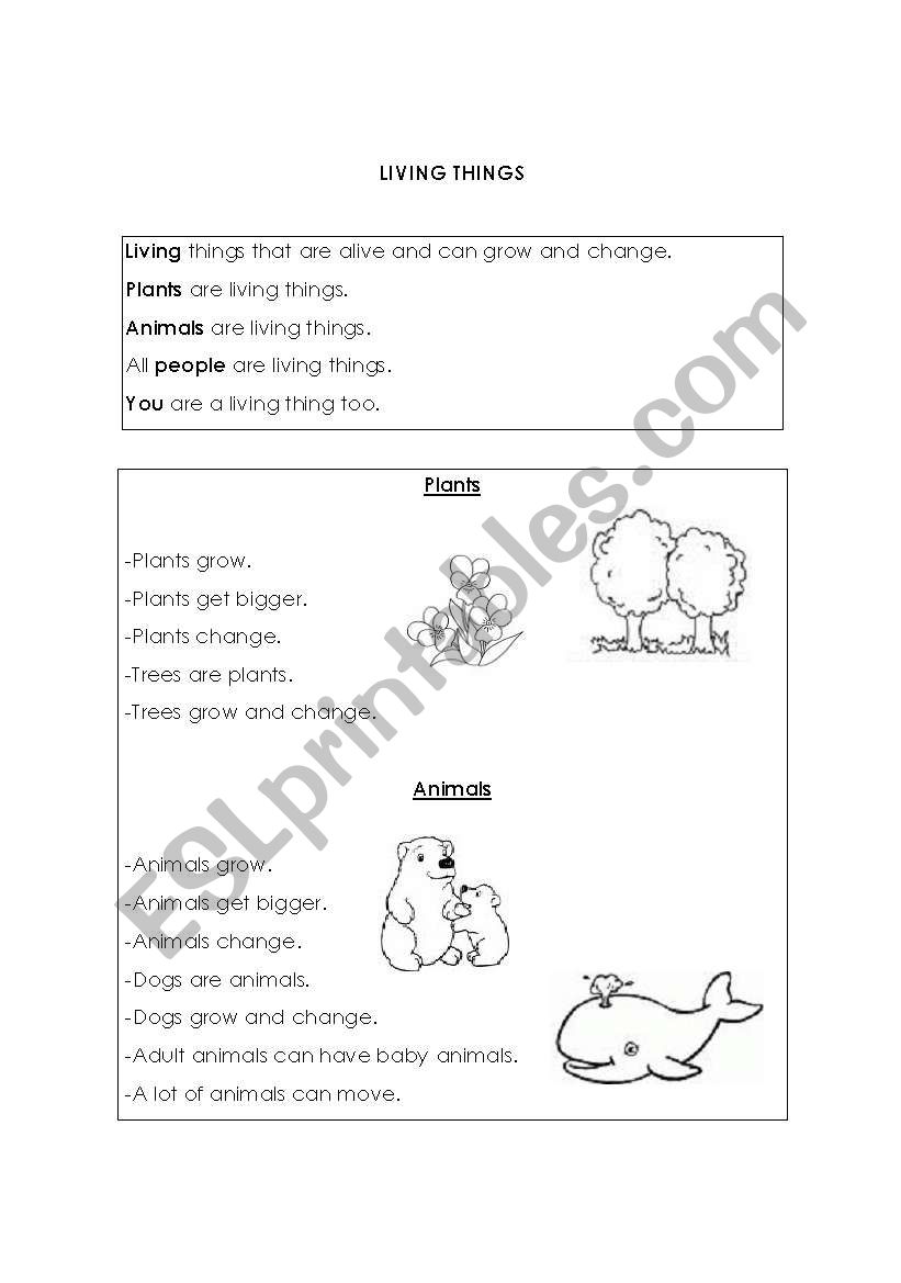 Living and nonliving things worksheet