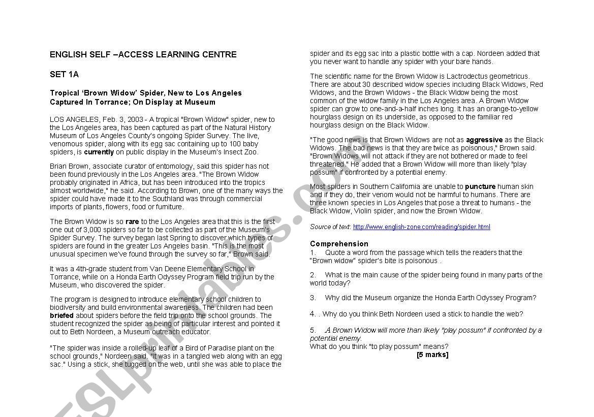 Brown Widow worksheet