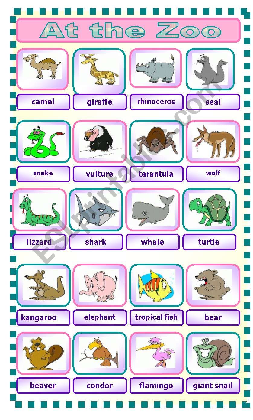 At the Zoo worksheet