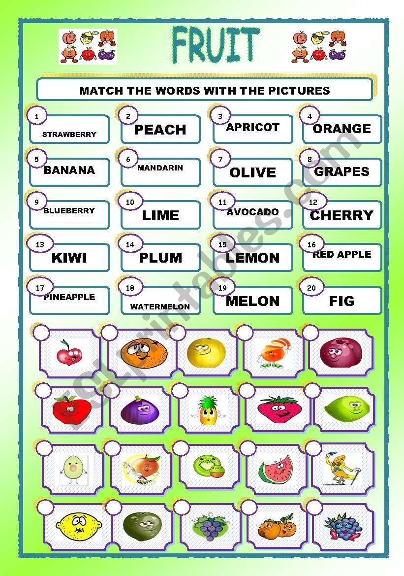 CARTOONS/FRUIT/MATCHING worksheet