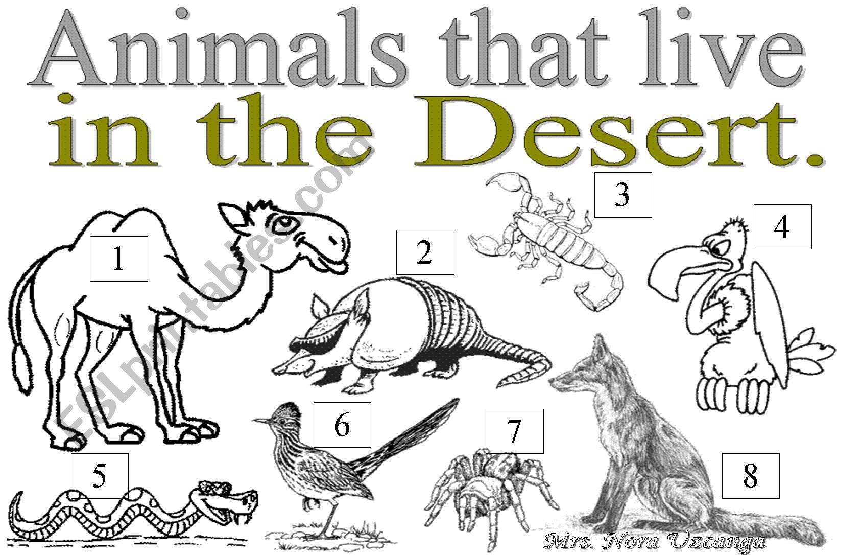 ANIMALS YHAT LIVE IN THE DESERT