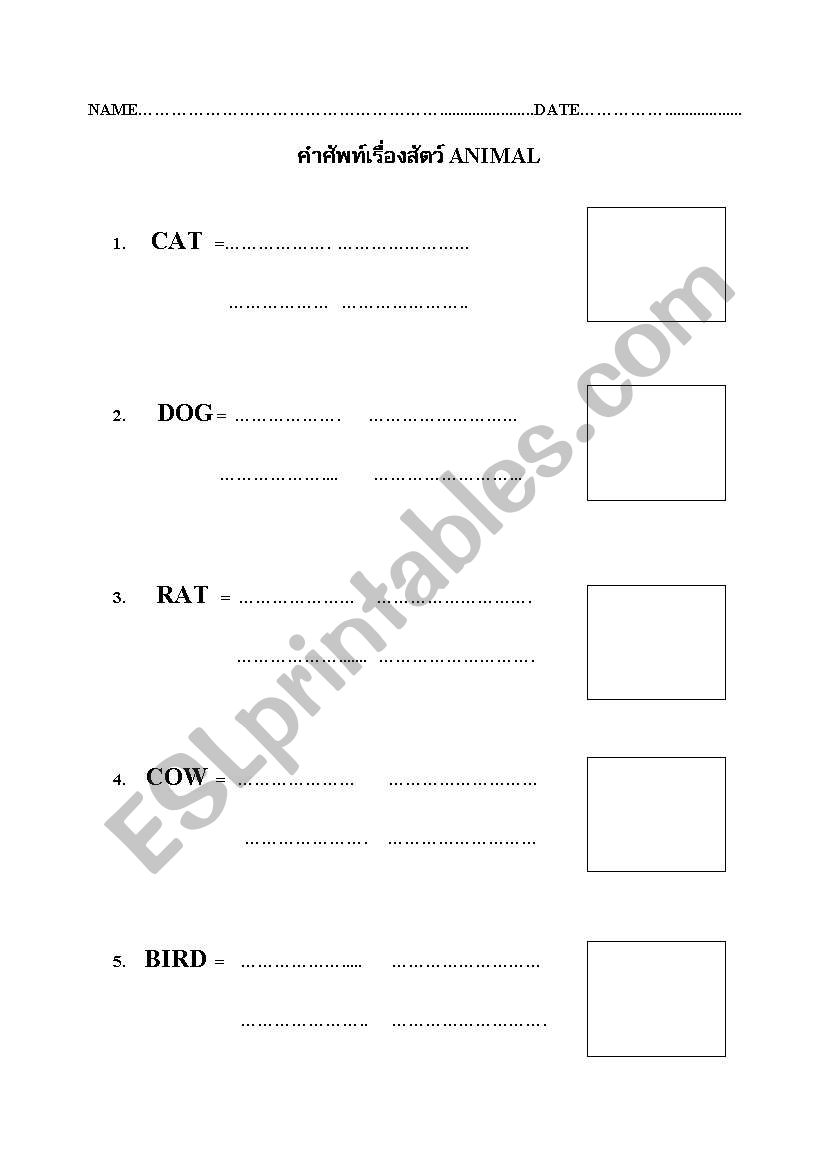 Animals worksheet