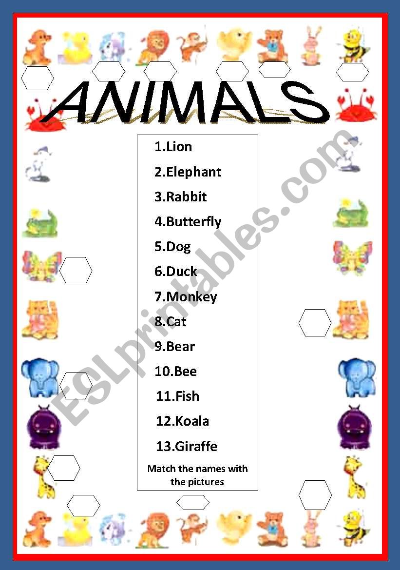 ANIMALS worksheet