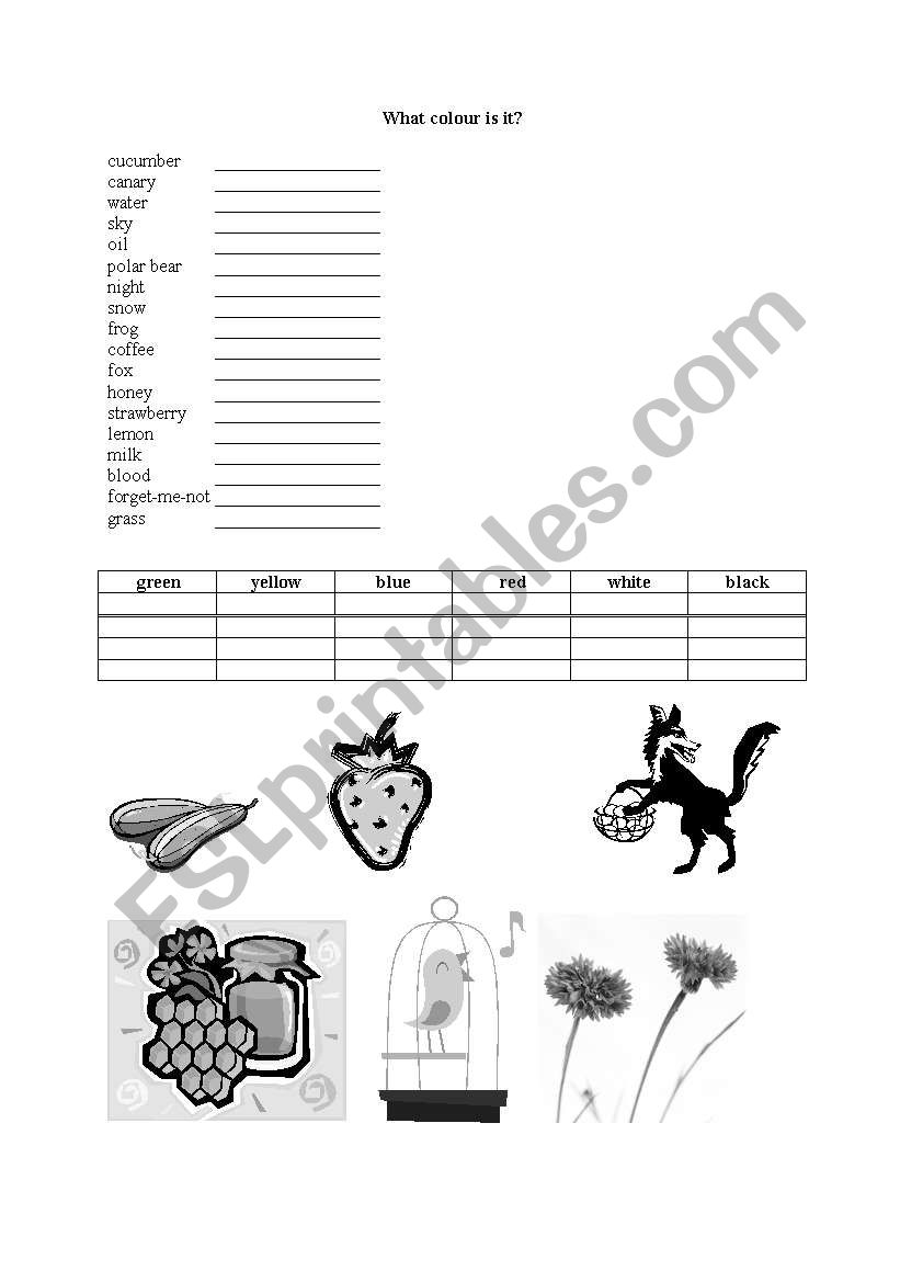 teaching colours worksheet