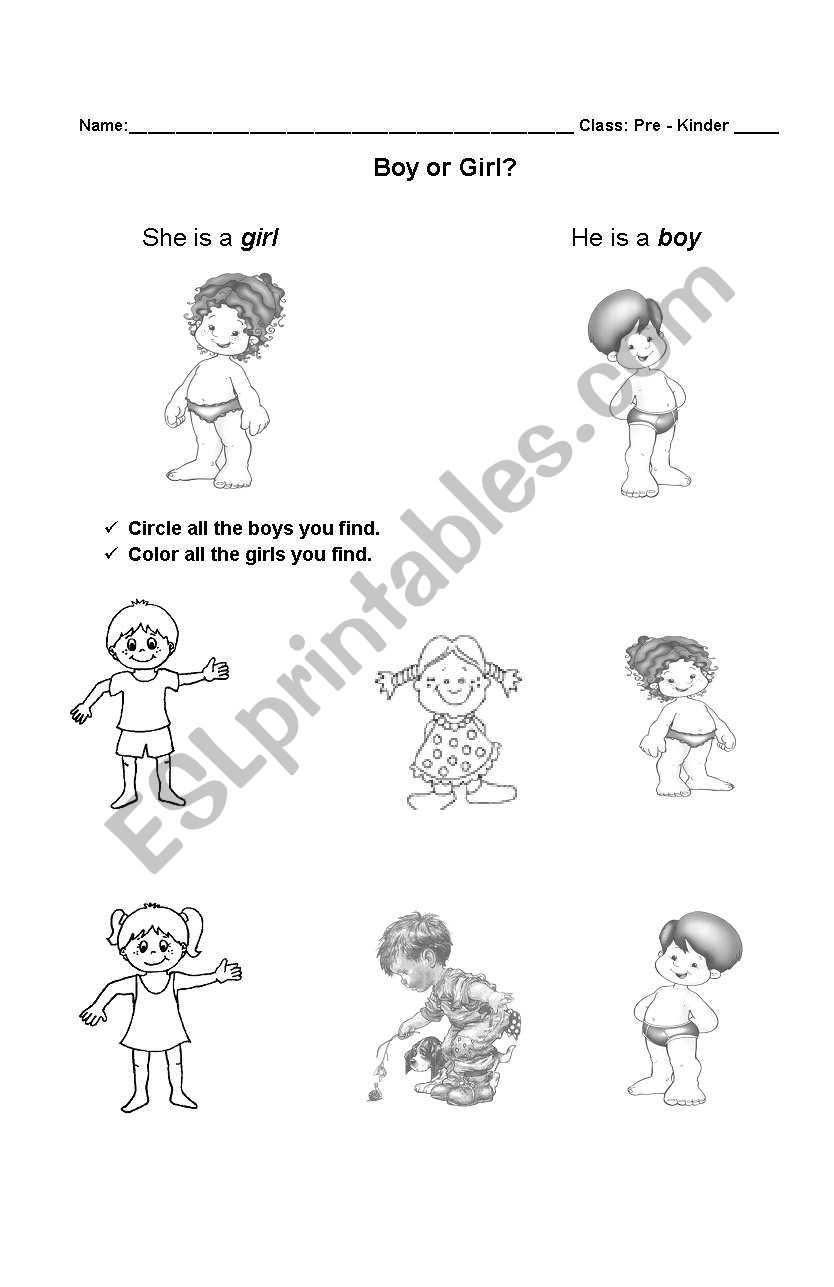 Boys and girls worksheet