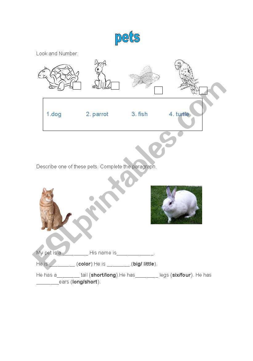 pets worksheet